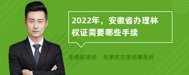 2022年，安徽省办理林权证需要哪些手续