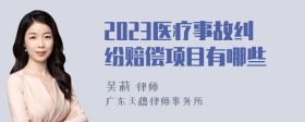 2023医疗事故纠纷赔偿项目有哪些