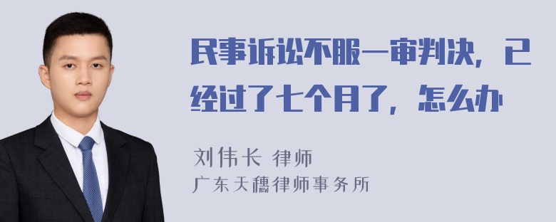 民事诉讼不服一审判决，已经过了七个月了，怎么办