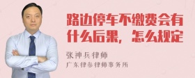 路边停车不缴费会有什么后果，怎么规定