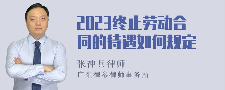 2023终止劳动合同的待遇如何规定