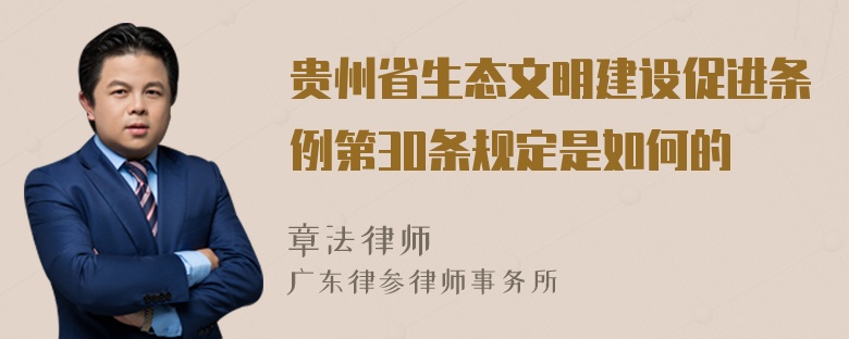 贵州省生态文明建设促进条例第30条规定是如何的