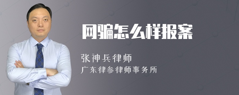 网骗怎么样报案