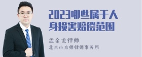 2023哪些属于人身损害赔偿范围