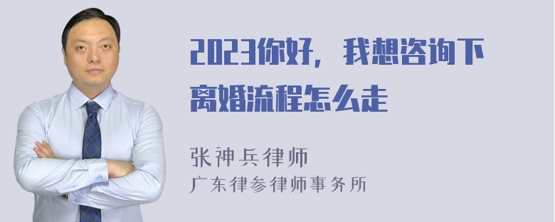 2023你好，我想咨询下离婚流程怎么走