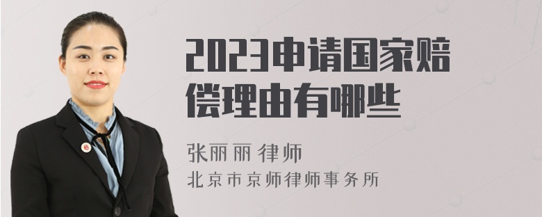 2023申请国家赔偿理由有哪些