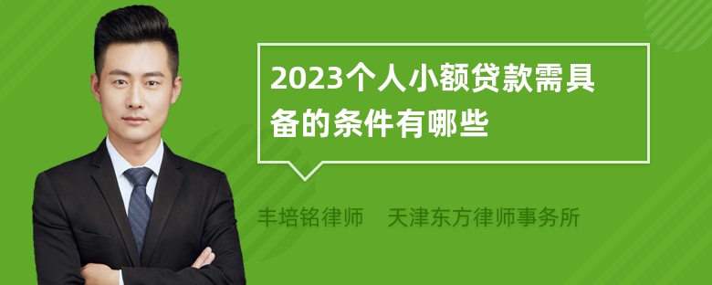 2023个人小额贷款需具备的条件有哪些