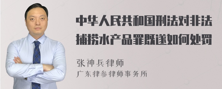 中华人民共和国刑法对非法捕捞水产品罪既遂如何处罚