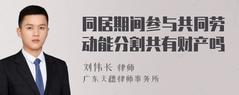 同居期间参与共同劳动能分割共有财产吗