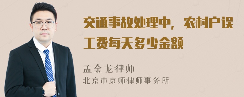 交通事故处理中，农村户误工费每天多少金额