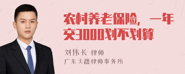 农村养老保险，一年交3000划不划算