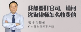 我想要打官司，请问咨询律师怎么收费的