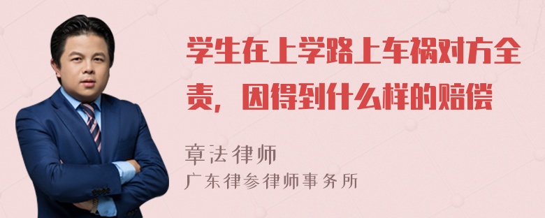 学生在上学路上车祸对方全责，因得到什么样的赔偿