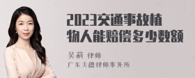 2023交通事故植物人能赔偿多少数额