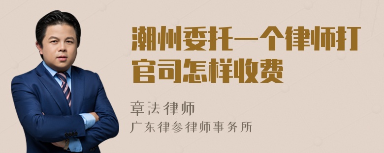 潮州委托一个律师打官司怎样收费