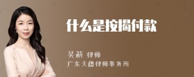 什么是按揭付款