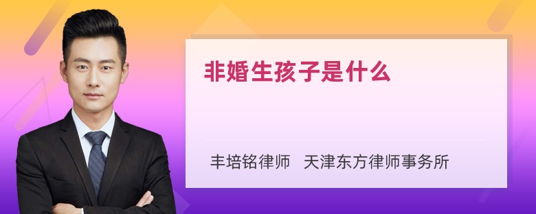 非婚生孩子是什么