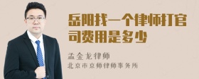 岳阳找一个律师打官司费用是多少