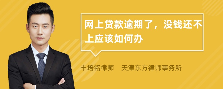 网上贷款逾期了，没钱还不上应该如何办