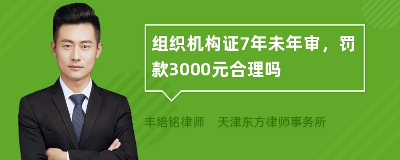 组织机构证7年未年审，罚款3000元合理吗