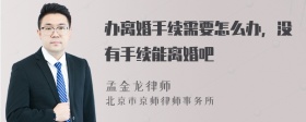 办离婚手续需要怎么办，没有手续能离婚吧