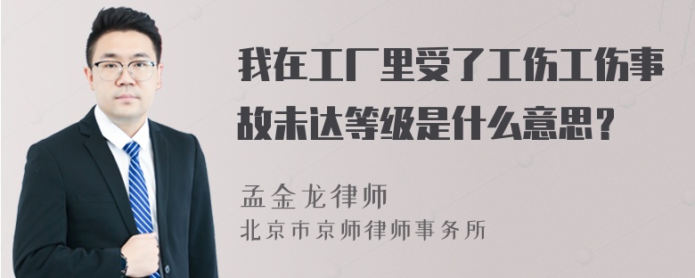 我在工厂里受了工伤工伤事故未达等级是什么意思？