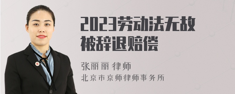 2023劳动法无故被辞退赔偿