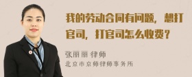 我的劳动合同有问题，想打官司，打官司怎么收费？