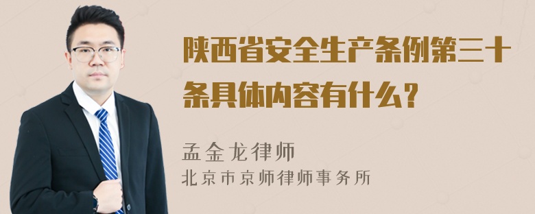 陕西省安全生产条例第三十条具体内容有什么？