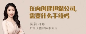 在内创建担保公司，需要什么手续吗