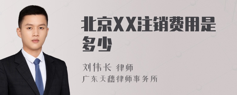 北京XX注销费用是多少
