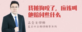 我被狗咬了，应该叫他赔付些什么