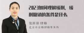 2023如何理解缓刑，缓刑撤销的条件是什么