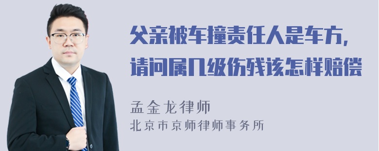 父亲被车撞责任人是车方，请问属几级伤残该怎样赔偿