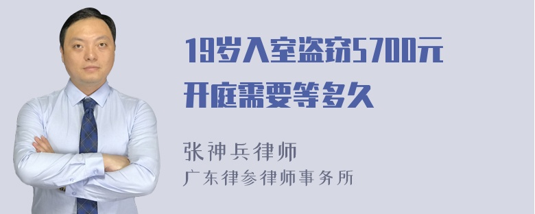 19岁入室盗窃5700元开庭需要等多久