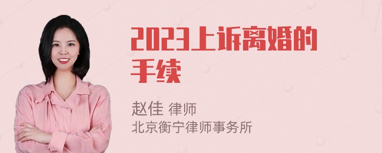 2023上诉离婚的手续