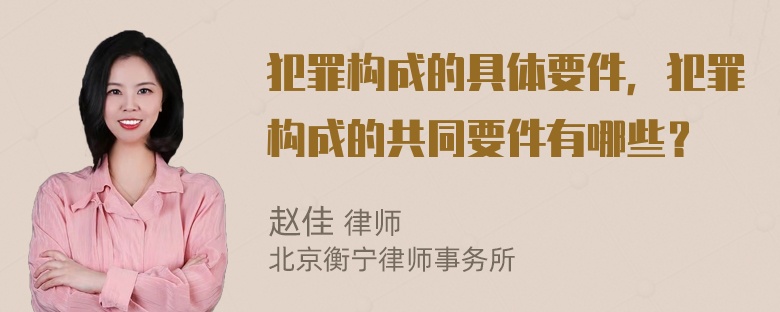 犯罪构成的具体要件，犯罪构成的共同要件有哪些？