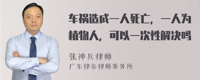 车祸造成一人死亡，一人为植物人，可以一次性解决吗