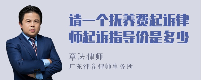 请一个抚养费起诉律师起诉指导价是多少