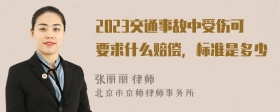 2023交通事故中受伤可要求什么赔偿，标准是多少