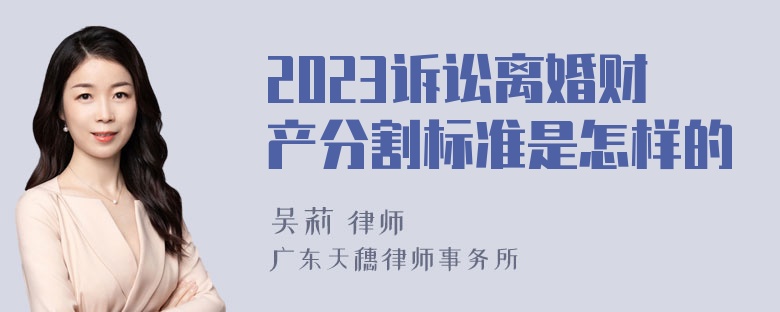 2023诉讼离婚财产分割标准是怎样的