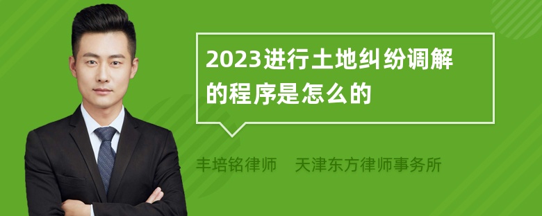 2023进行土地纠纷调解的程序是怎么的