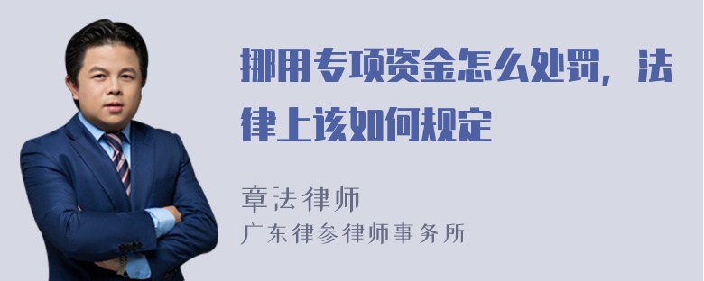 挪用专项资金怎么处罚，法律上该如何规定