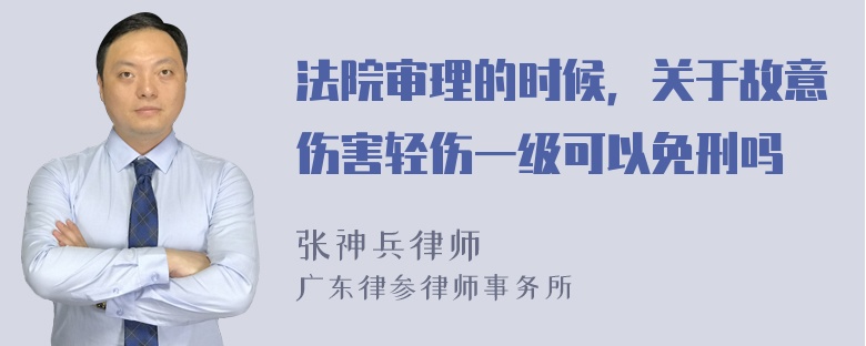 法院审理的时候，关于故意伤害轻伤一级可以免刑吗