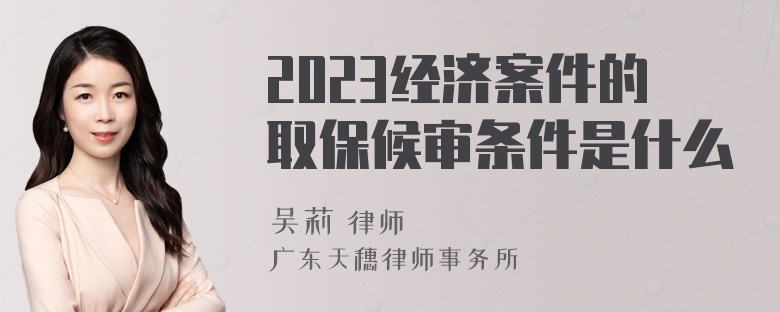 2023经济案件的取保候审条件是什么