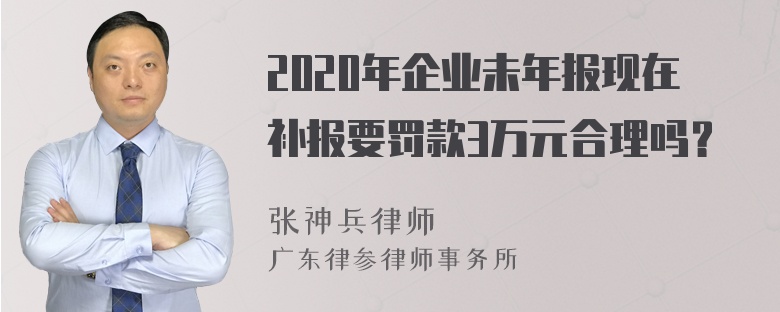 2020年企业未年报现在补报要罚款3万元合理吗？