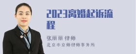 2023离婚起诉流程