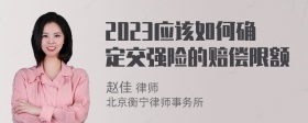 2023应该如何确定交强险的赔偿限额