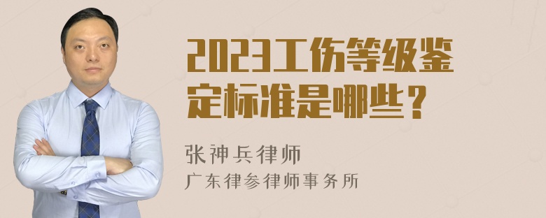 2023工伤等级鉴定标准是哪些？