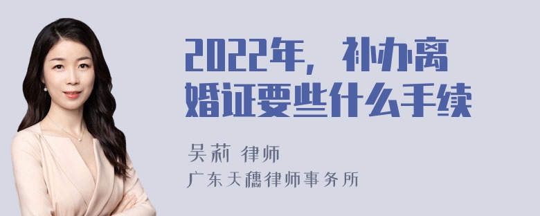 2022年，补办离婚证要些什么手续